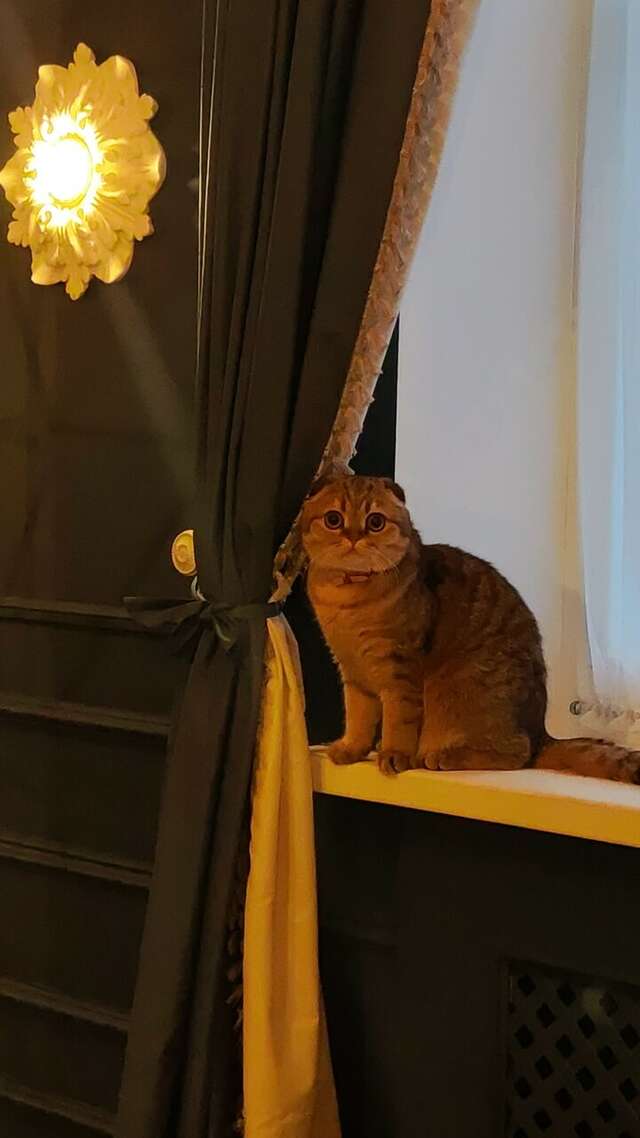 Гостиница Винсент Белгород-193